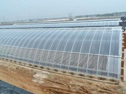 幾字鋼日光溫室