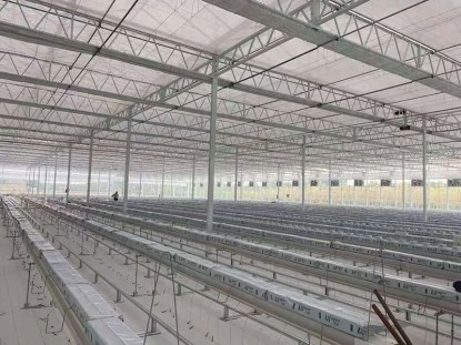 陽光板溫室栽培