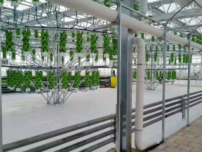 陽(yáng)光板溫室栽培