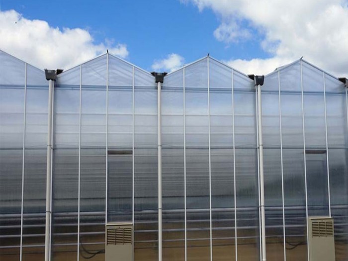 紋絡陽光板溫室