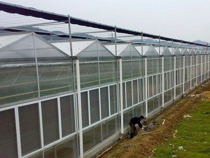 紋絡(luò)陽光板溫室