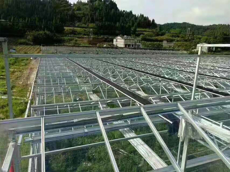 工程案例-青州市澤源農業科技有限公司